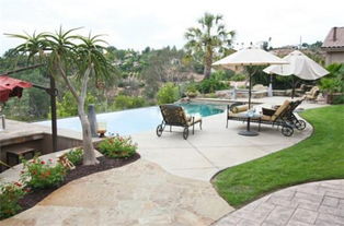 松树与庭院的搭配