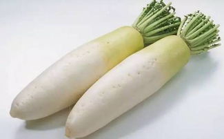 萝卜齐上阵，价格虽高