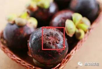 第三招：大火煮沸， 焖15分钟