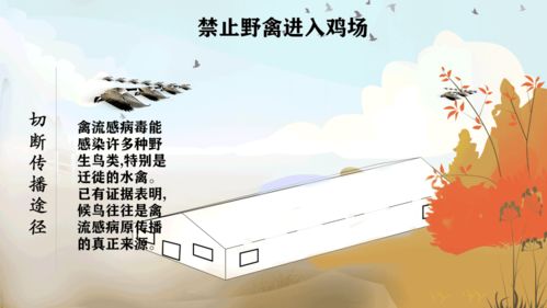 “科学制定养殖场免疫计划，保障动物健康