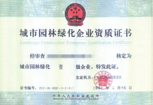 接下来资质证书不嫩少