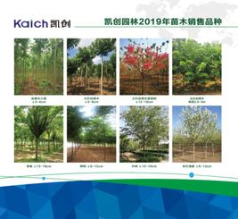 苗木市场发展的道理