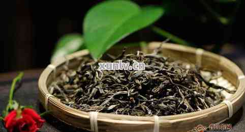 鱼藤精喷在茶叶上？