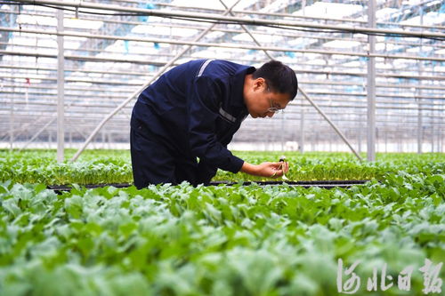 实地案例：老李的种地经