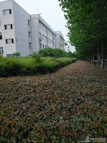 广州：园林人才的摇篮