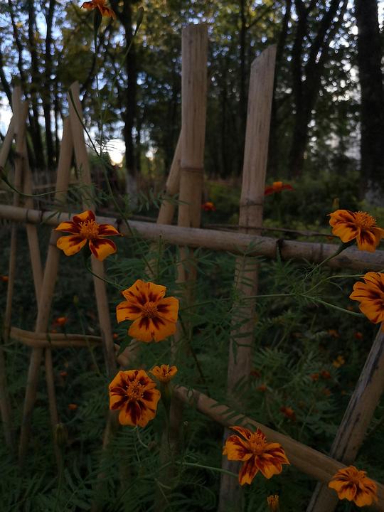 摄图网：高清图片的宝库