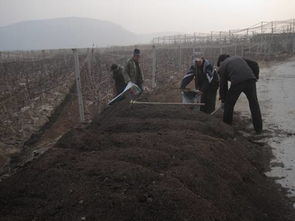 除草剂是个啥玩意儿
