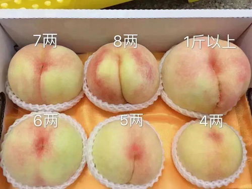 揭秘夏日果王：水蜜桃品种争霸