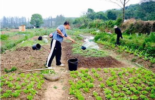 三者相辅相成，共同呵护