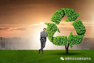 果园林地养鸡，如何实现生态循环