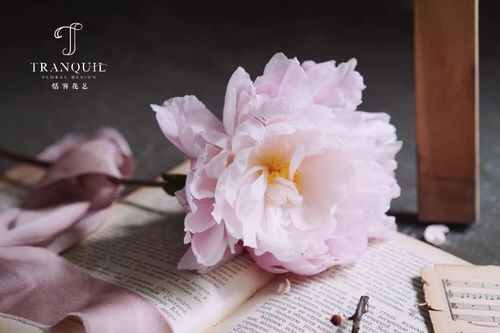 东方文化中的花语