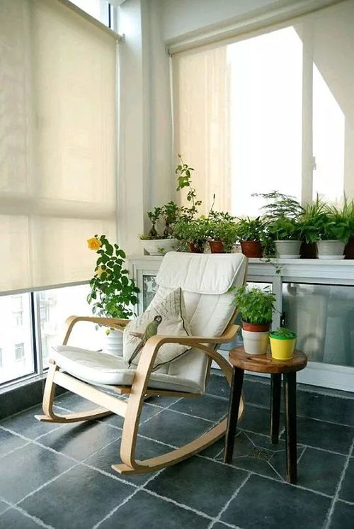 倾听植物的“语言”