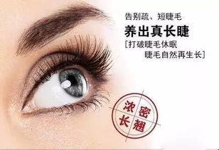 如何巧妙培育花卉眼睫毛，让植物也拥有翘翘的秀发？