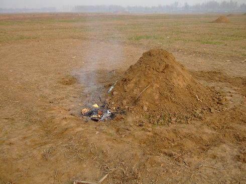 坟地长刺树，除草剂Neng喷吗？怎么办才好？