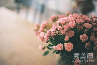 仙人指花的花语是什么？它背后有哪些神奇的传说和传奇故事