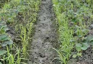 使用方法，得讲究点