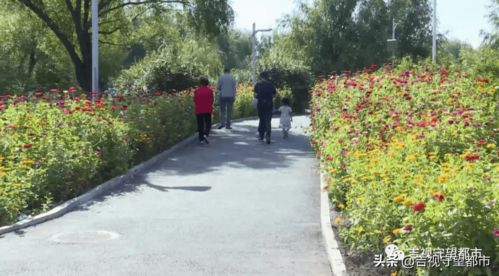 一板二带式道路绿化