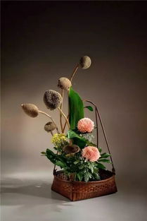 用心观察自然 初学者的插花之旅