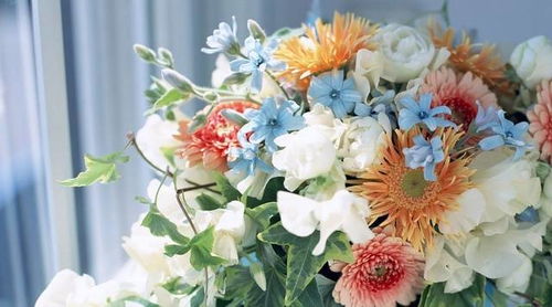 “友谊之花中，哪种花卉最能代表我们之间深厚的深情呢