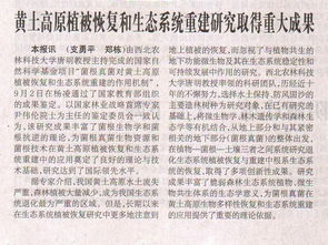 因地制宜， 科学修复