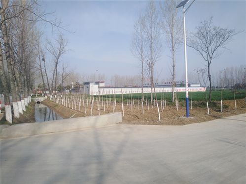 南阳市2021年造林绿化大行动，绿化工程大揭秘！