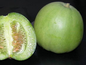 全国最好薄皮香瓜种子，薄皮甜瓜种植技术与管理有哪些关键要点？