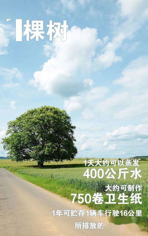 春色满园， 共赴美好