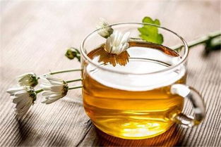 金银花菊花泡水禁忌：这几种人能喝吗
