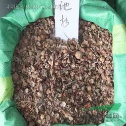 工业价值：现代科技的舞台