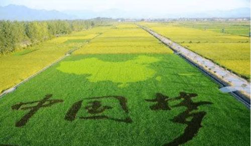 以人为本，农业养殖