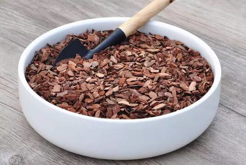 松树皮在多肉种植中的应用