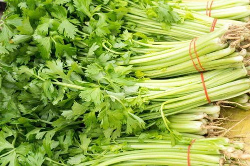 农药，农药，又是农药