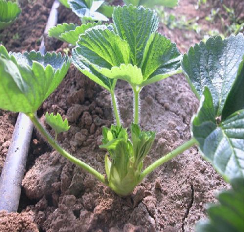 阴雨天的应急方案