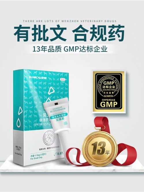 菊花生虫怎么办？养花达人教你选对杀虫剂