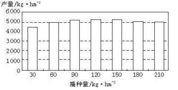 种植密度的重要性