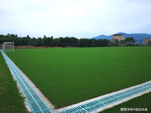 闺蜜的“懒人草坪”， 气得我想拉黑她