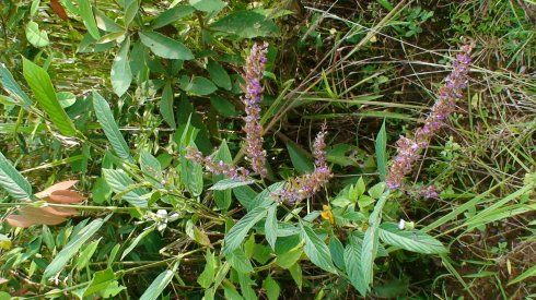 价格差异，原因揭秘