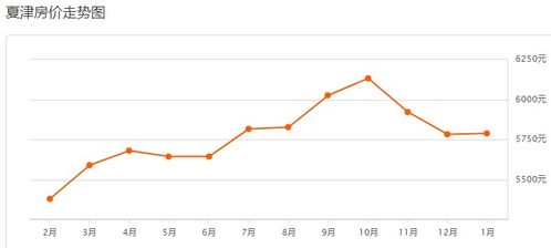 宜宾香樟种子2023年行情探秘
