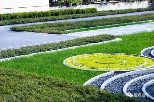 公园草坪硬邦邦的秘密