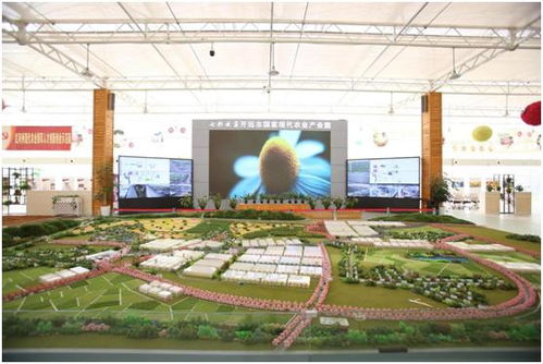云南花卉产业集群：开启花卉世界合作之窗