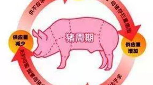 2017年超长猪周期即将落幕，探讨其成因与影响
