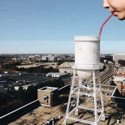 从反应釜到田间地头