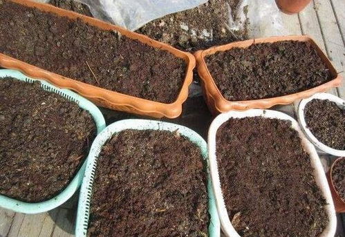 自制营养土的步骤