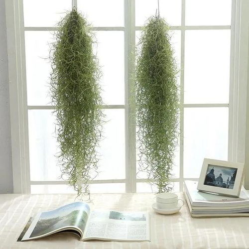 装饰墙面 创意无限