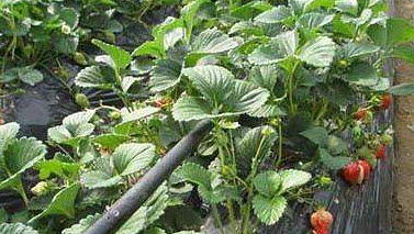 区域适配对照表大公开