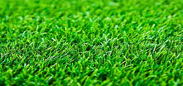 第三招：补充养分