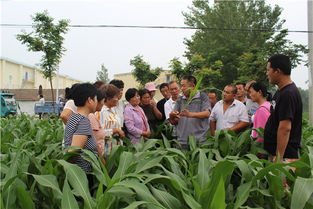 高效防治农业作物病虫害技术