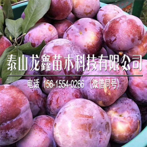 哎呀，说了这么多，到底怎么用呢？
