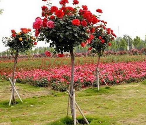 先说说 选对地儿是关键