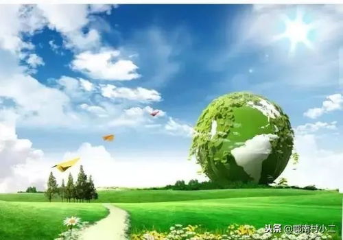 养猪业环保同行，共担农业责任